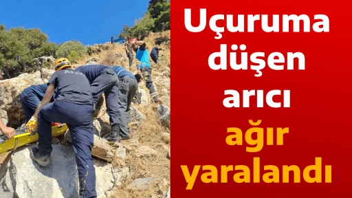 U&ccedil;uruma d&uuml;şen arıcı ağır yaralandı