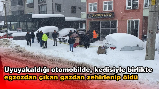 Uyuyakaldığı otomobilde, kedisiyle birlikte egzozdan &ccedil;ıkan gazdan zehirlenip &ouml;ld&uuml;
