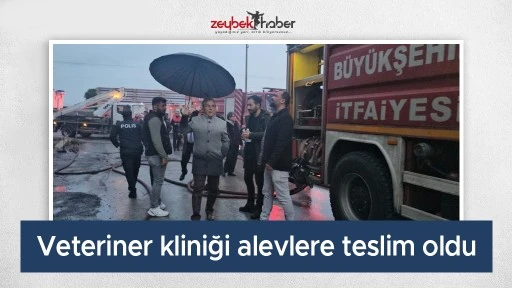 Veteriner kliniği alevlere teslim oldu