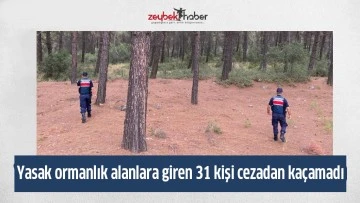 Yasak ormanlık alanlara giren 31 kişi cezadan ka&ccedil;amadı