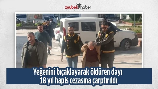 Yeğenini bı&ccedil;aklayarak &ouml;ld&uuml;ren dayı 18 yıl hapis cezasına &ccedil;arptırıldı