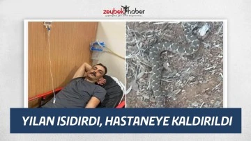 YILAN ISIDIRDI, HASTANEYE KALDIRILDI