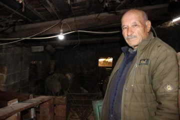 Yıllarca T&uuml;rkiye'nin her yerini dolaşan kamyon şof&ouml;r&uuml; huzuru koyunlarda buldu