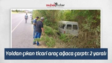 Yoldan &ccedil;ıkan ticari ara&ccedil; ağaca &ccedil;arptı: 2 yaralı