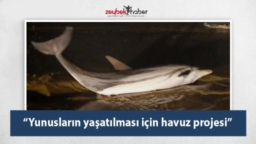 &ldquo;YUNUSLARIN YAŞATILMASI İ&Ccedil;İN HAVUZ PROJESİ &Ouml;NERİSİ"