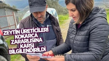 Zeytin &uuml;reticileri kokarca zararlısına karşı bilgilendirildi