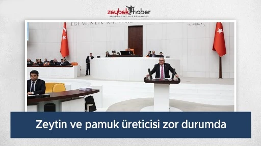 Zeytin ve pamuk &uuml;reticisi zor durumda