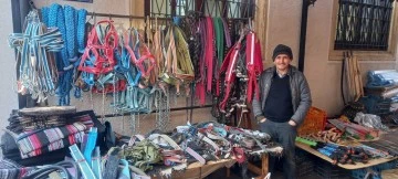 Zeytinde 'yok yılı' urgancıları zora soktu