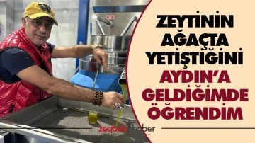 Zeytinin ağa&ccedil;ta yetiştiğini Aydın&rsquo;a geldiğimde &ouml;ğrendim
