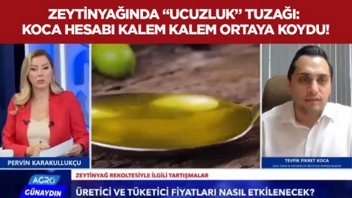 Zeytinyağında “ucuzluk” tuzağı: Koca hesabı kalem kalem ortaya koydu!