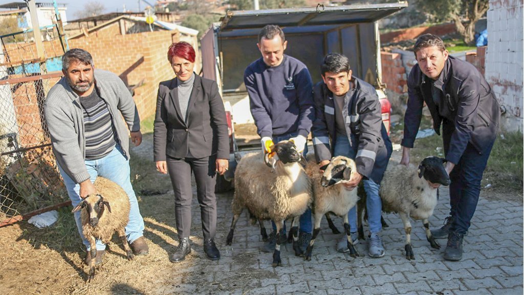 Başkan Çerçioğlu koyunları telef olan üreticiye destek oldu